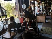oud winkelpaard met teddyberen en kastonderdelen